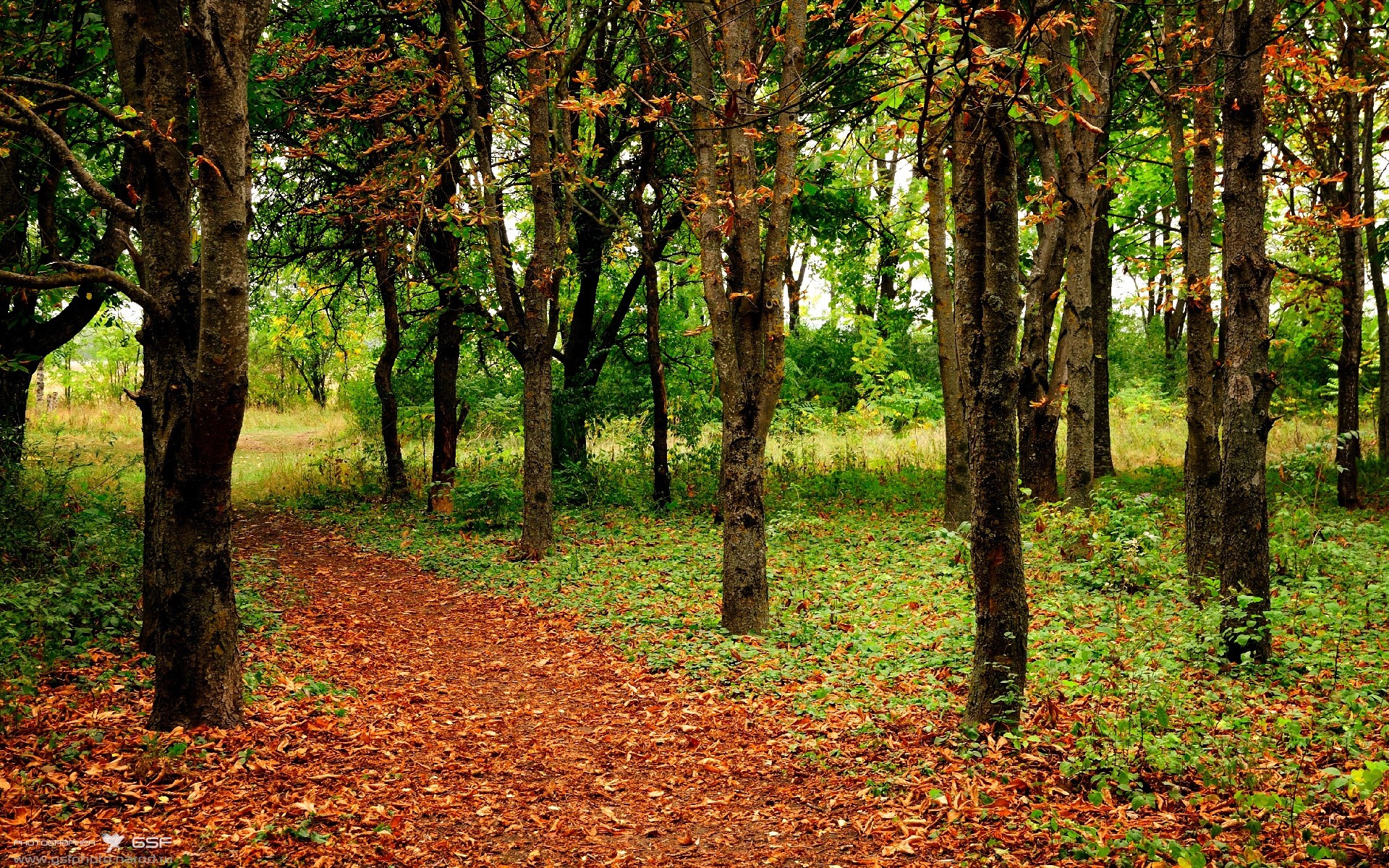星空体育app-活塞太阳抗衡，场上擦出激烈火花，活塞对太阳聚胜顽球汇