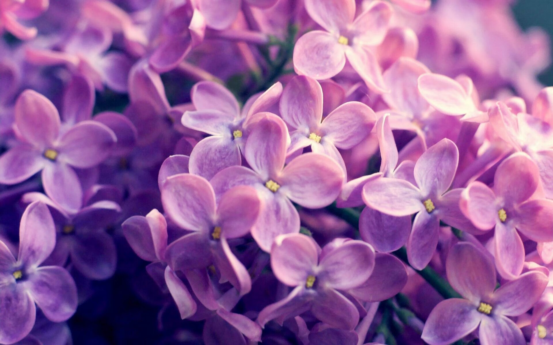 xingkong sports-波兰队在比赛中取得惊人的胜利，引发轰动，波兰队在比赛中取得惊人的胜利,引发轰动英语