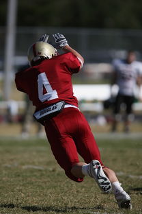 星空体育正版APP下载-中超球队传球链路密集度评分系统