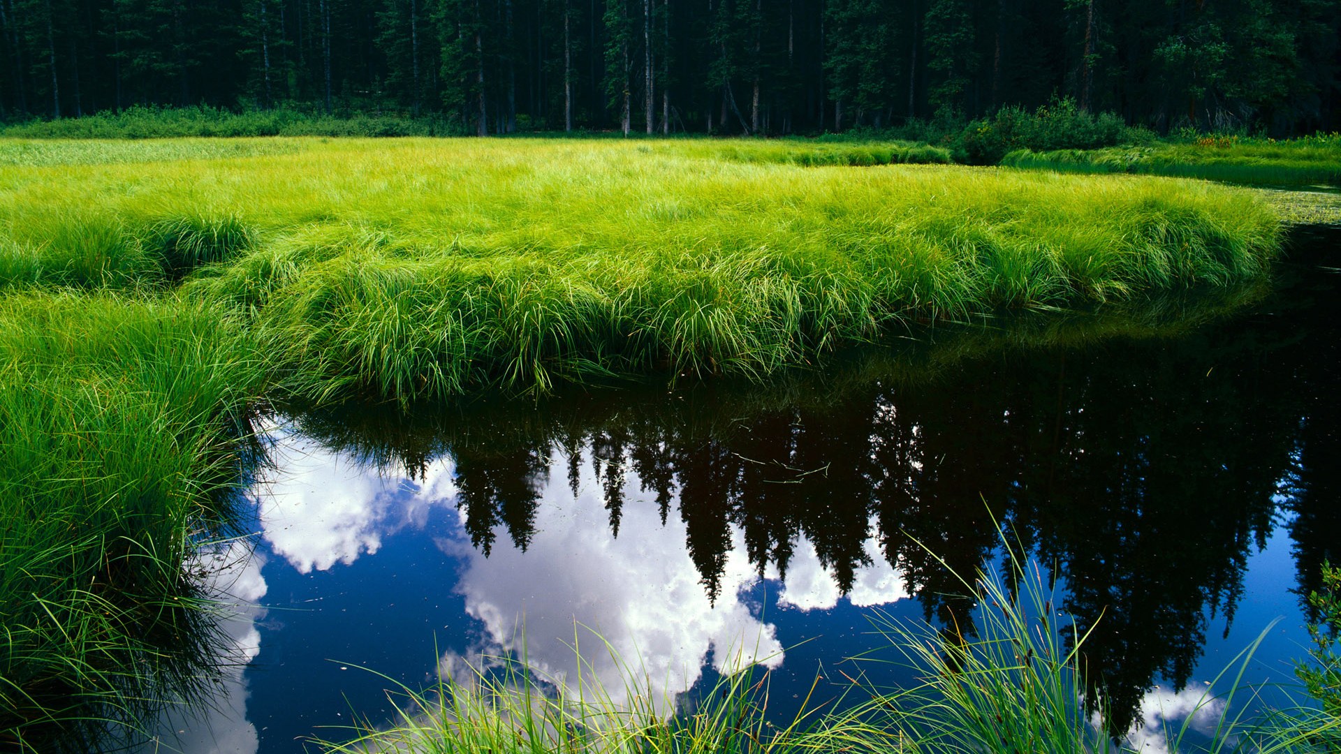 星空体育官网信誉好-中国女足世界杯备战加速 战术演练成重点，中国女足世界杯2022