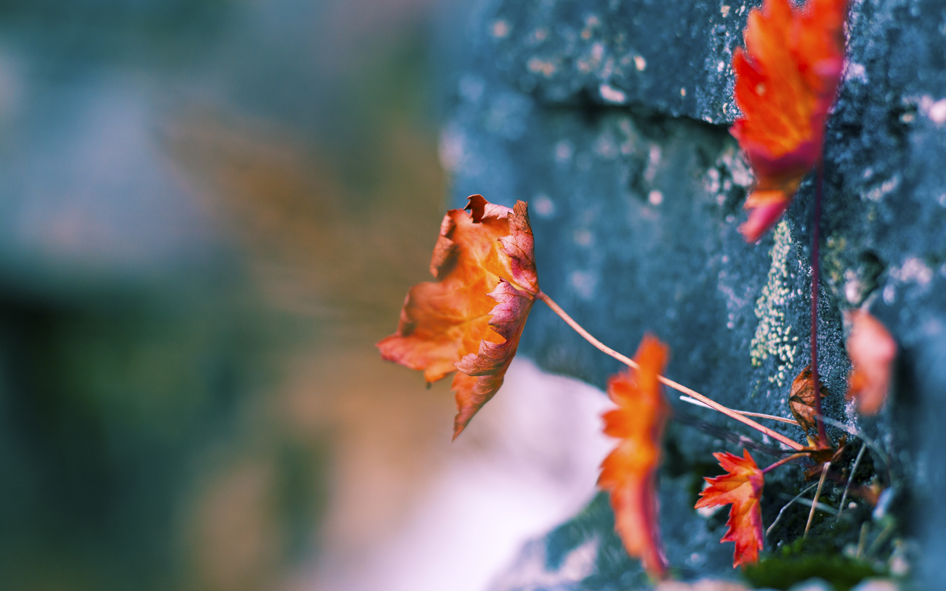 西甲伟大瞬间：老将的神级表现，西甲老牌强队