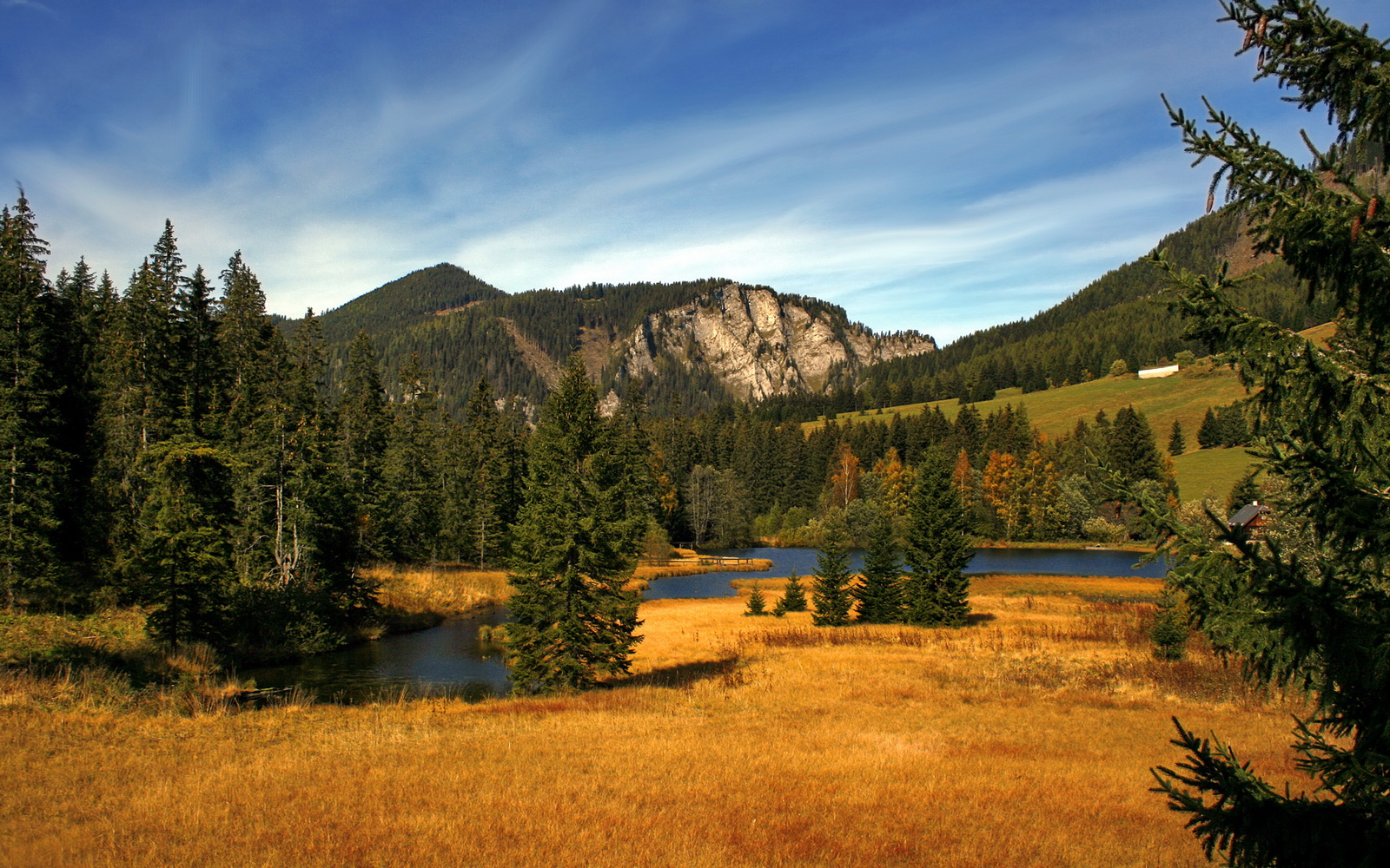 星空体育网页-跳水决赛突尼斯男将冲击奖牌，2016跳水视频