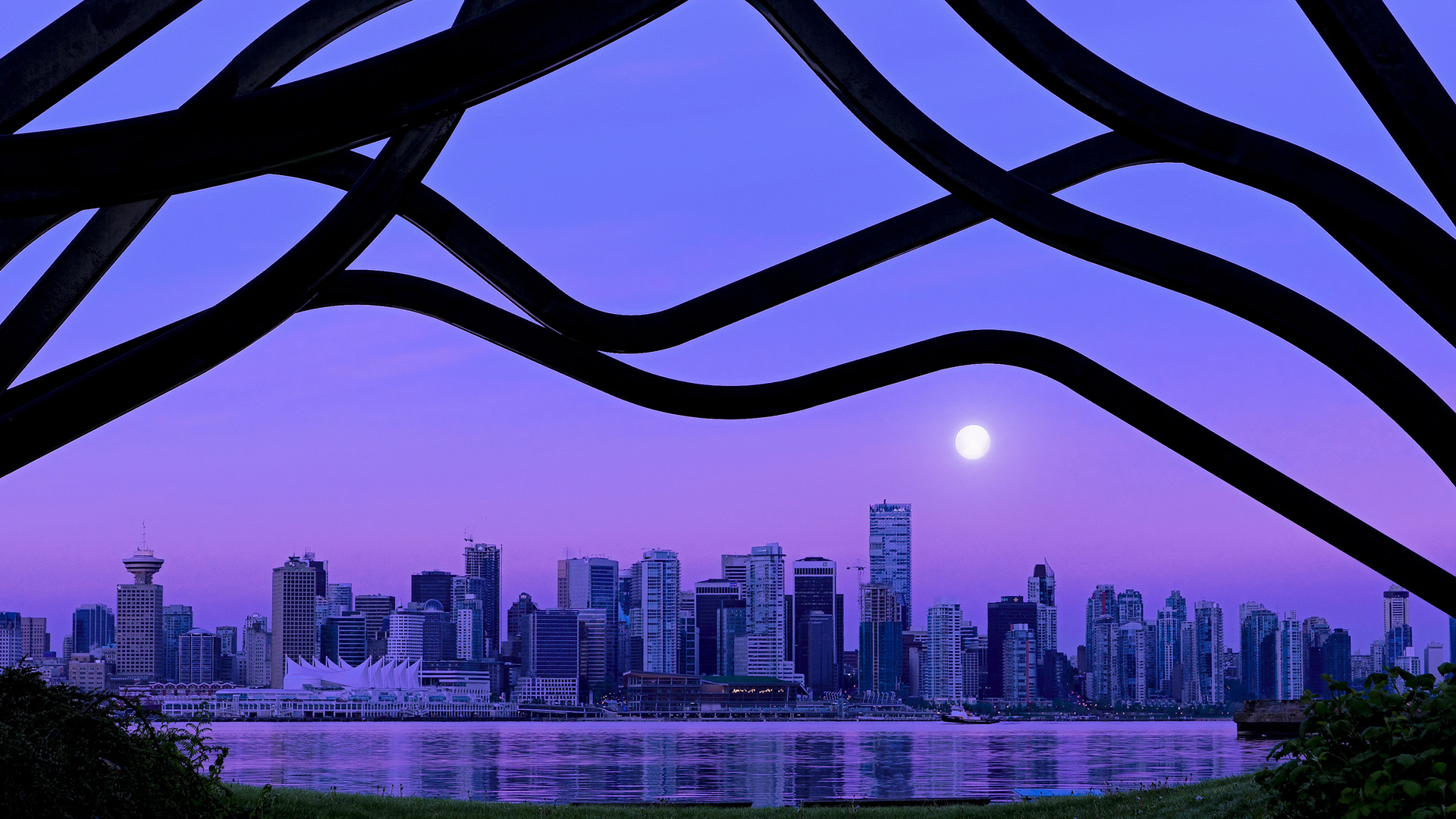 星空体育下载-跳水动作控制精准，姿态优雅，跳水动作控制精准,姿态优雅怎么形容